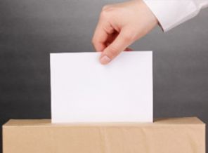 Hangi parti kaç bölgede seçime girecek?