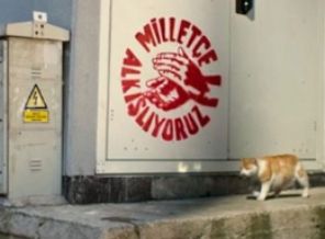 YSK'dan kedi reklamı hamlesi