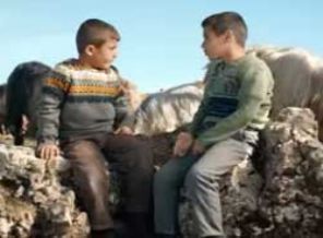 Televizyon fenomeni oldular