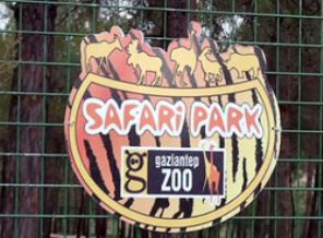 Türkiye'nin ilk Safari Parkı açılıyor