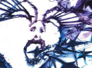 Siyasete kadın eli gerek