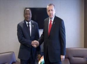 Erdoğan, Nijerli mevkidaşı ile görüştü