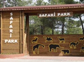 Türkiye'nin ilk Safari Parkı açıldı