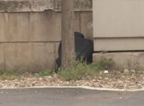 Dolmabahçe’de şüpheli çanta korkuttu