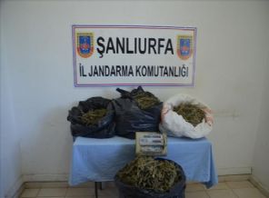 Ham petrol çaldılar